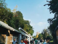 -枫香湖儿童公园