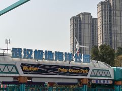 -海合安武汉极地海洋公园