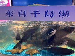 -鸽子侯·家宴·平价海鲜(市图书馆店)