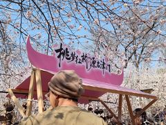 -桃花堤公园