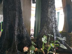 -大树头·花园餐厅(市桥店)