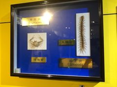 -上海昆虫博物馆