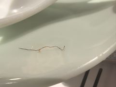 -蜀腾川·火锅鱼.烤鱼(新世界城店)