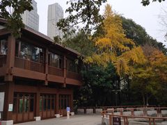 -成都市活水公园