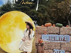 -西湖天地