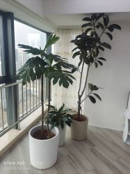 -HEYAN荷妍专业脱毛连锁机构