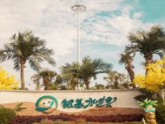 -开封银基水世界
