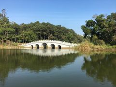 -金山植物公园