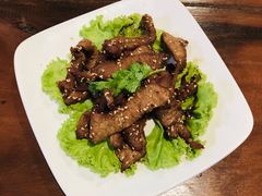 -绿光森林餐厅