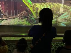 -世界恐龙谷景区