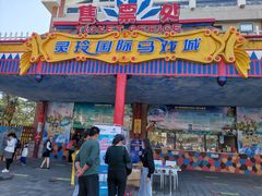 -灵玲国际马戏城