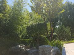 -南宫五洲植物乐园