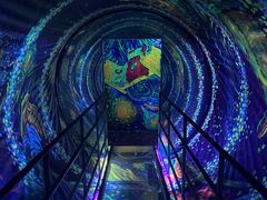 -上海梵高星空艺术馆(南京路旗舰店)