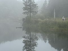 -海南热带雨林国家公园吊罗山景区
