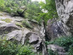 -王顺山国家森林公园