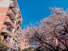 -三好坞景观餐厅