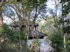 -上海佘山国家森林公园天马山园