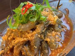 -铂米星座(瑞安店)