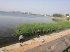 -丁香湖公园