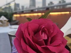 -Kathleen's Waitan 凯圣琳江景西餐厅(外滩店)