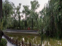 -迎泽公园