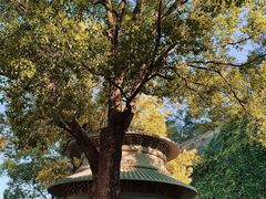 -天竺岩寺