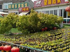 -晓琦农家菜馆·地道农家菜