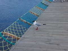 -花湖生态旅游区