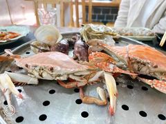 梭子蟹-九层海鲜塔(市南店)