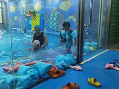 -贝贝鲸亲子游泳俱乐部(富城商楼店)