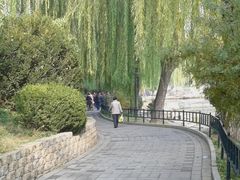 -紫竹院公园冰场