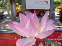 -永兴坊