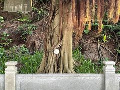 -晓港公园