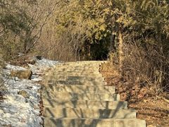 -北京西山国家森林公园