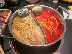 -季季山•云南野生菌火锅(上海首店)