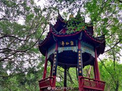-乌山风景区