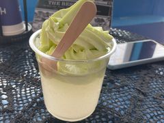-萨朗刀克冰淇淋雪花凉(植物园店)