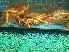 -庆赫隆融合菜馆(群力店)