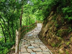 -大岭沟猕猴桃谷风景区