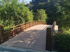 -云溪植物园