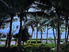 -深圳湾公园(南山区)