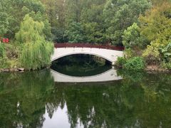 -东平国家森林公园
