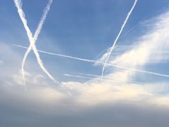 -瑶湖郊野森林公园