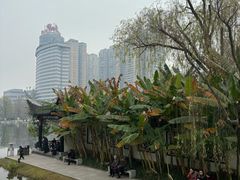 -北湖公园
