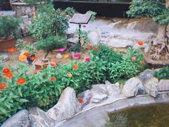 -蘇河湾·新鲁菜·泰山宴(泰山店)