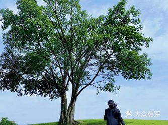 重庆拍照清新治愈草坪→蓝湖郡体育公园