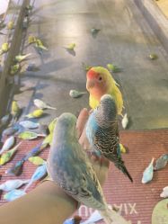 -酷嗒动物文化乐园(cutezoo西溪乐天城店)