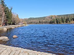 -五营红松林海景区