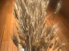 -西村日本料理(香格里拉饭店)