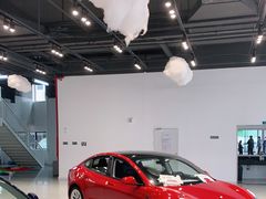 -TESLA 特斯拉(深圳观澜特斯拉直营钣喷中心)